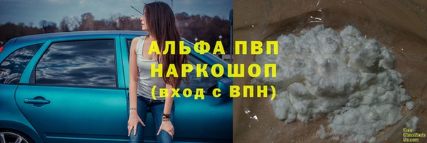 хмурый Алексин