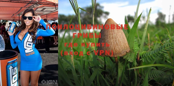 mdpv Зеленодольск