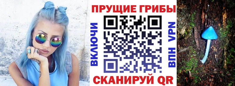 Галлюциногенные грибы ЛСД  Сухиничи 